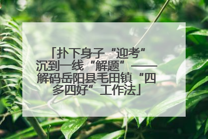 扑下身子“迎考” 沉到一线“解题”——解码岳阳县毛田镇“四多四好”工作法
