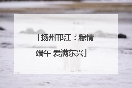 扬州邗江：粽情端午 爱满东兴
