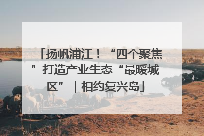 扬帆浦江！“四个聚焦”打造产业生态“最暖城区”｜相约复兴岛