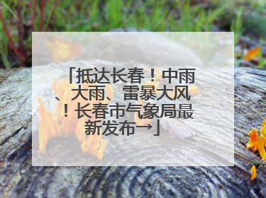 抵达长春！中雨、大雨、雷暴大风！长春市气象局最新发布→