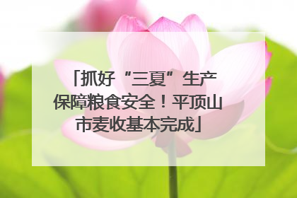 抓好“三夏”生产 保障粮食安全！平顶山市麦收基本完成