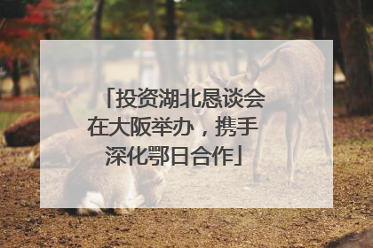 投资湖北恳谈会在大阪举办，携手深化鄂日合作
