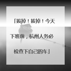 拔掉！拔掉！今天下班前，杭州人务必检查下自己的车