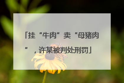 挂“牛肉”卖“母猪肉”，许某被判处刑罚