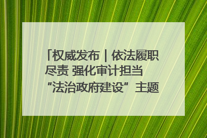 权威发布｜依法履职尽责 强化审计担当 “法治政府建设”主题系列新闻发布会市审计局专场召开