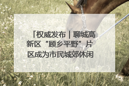 权威发布｜聊城高新区“顾乡平野”片区成为市民城郊休闲全新目的地