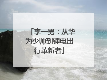 李一男：从华为少帅到锂电出行革新者