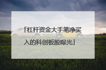 杠杆资金大手笔净买入的科创板股曝光