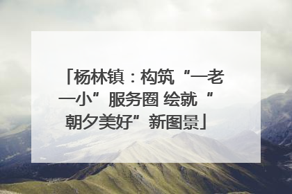 杨林镇：构筑“一老一小”服务圈 绘就“朝夕美好”新图景