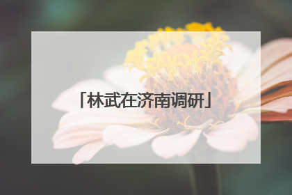林武在济南调研