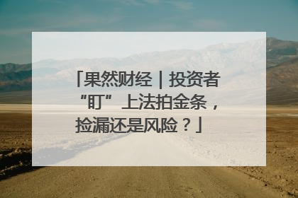 果然财经｜投资者“盯”上法拍金条，捡漏还是风险？