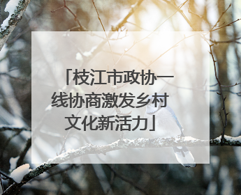 枝江市政协一线协商激发乡村文化新活力