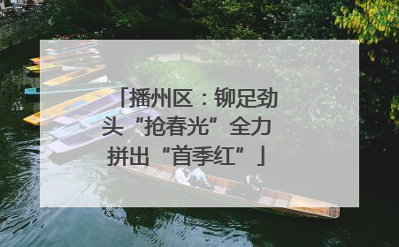 播州区：铆足劲头“抢春光”全力拼出“首季红”