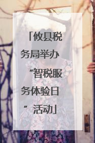 攸县税务局举办“智税服务体验日”活动