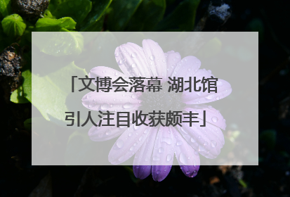 文博会落幕 湖北馆引人注目收获颇丰