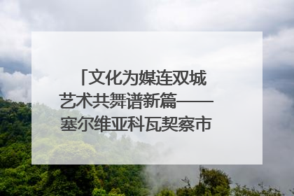 文化为媒连双城 艺术共舞谱新篇——塞尔维亚科瓦契察市代表团访问日照