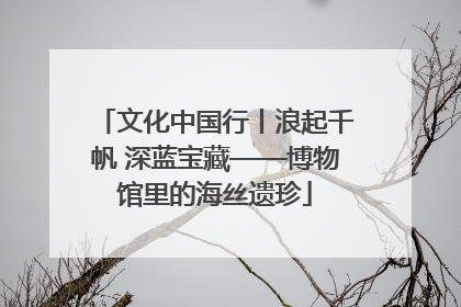 文化中国行丨浪起千帆 深蓝宝藏——博物馆里的海丝遗珍