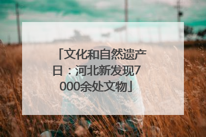 文化和自然遗产日：河北新发现7000余处文物