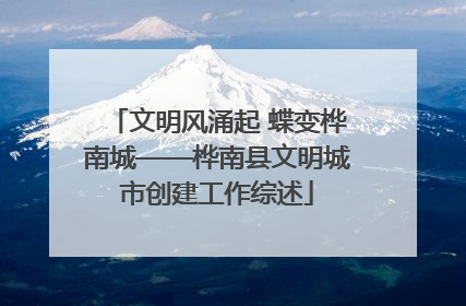 文明风涌起 蝶变桦南城——桦南县文明城市创建工作综述