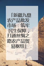 新疆九鼎农产品批发市场：筑牢民生保障，打通丝绸之路农产品贸易枢纽