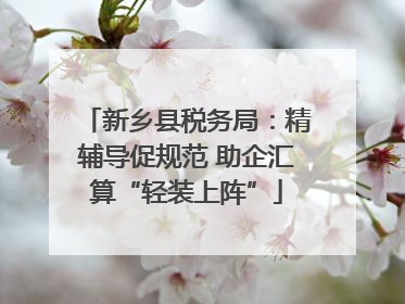 新乡县税务局：精辅导促规范 助企汇算“轻装上阵”