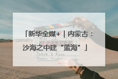 新华全媒+｜内蒙古：沙海之中建“蓝海”