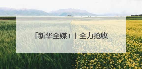新华全媒+丨全力抢收夏粮 确保颗粒归仓