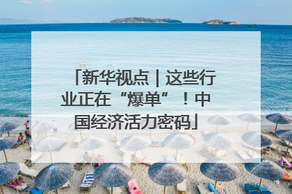 新华视点｜这些行业正在“爆单”！中国经济活力密码