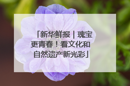 新华鲜报｜瑰宝更青春！看文化和自然遗产新光彩