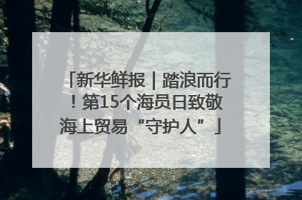 新华鲜报｜踏浪而行！第15个海员日致敬海上贸易“守护人”