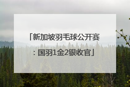 新加坡羽毛球公开赛：国羽1金2银收官