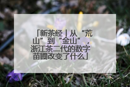 新茶经丨从“荒山”到“金山”，浙江茶二代的数字苗圃改变了什么
