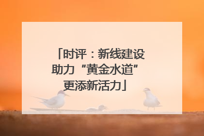 时评：新线建设助力“黄金水道”更添新活力