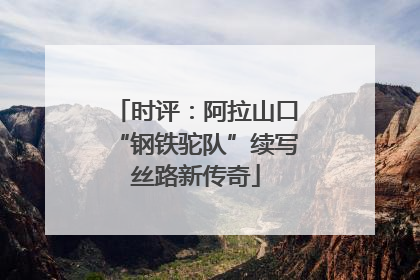 时评：阿拉山口“钢铁驼队”续写丝路新传奇