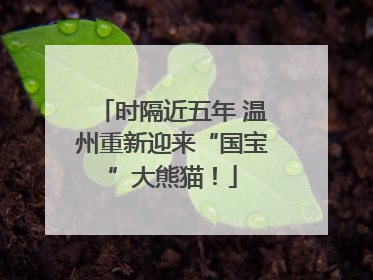 时隔近五年 温州重新迎来“国宝”大熊猫！