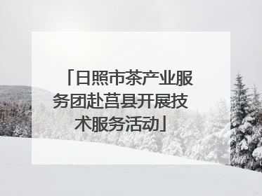 日照市茶产业服务团赴莒县开展技术服务活动