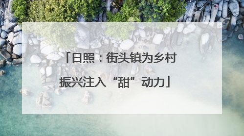 日照：街头镇为乡村振兴注入“甜”动力