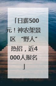 日薪500元！神农架景区 “野人” 热招，近4000人报名