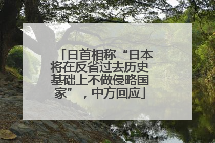 日首相称“日本将在反省过去历史基础上不做侵略国家”，中方回应