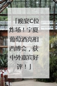 晚宴C位炸场！宁夏葡萄酒亮相西博会，获中外嘉宾好评！