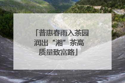 普惠春雨入茶园 润出“湘”茶高质量致富路