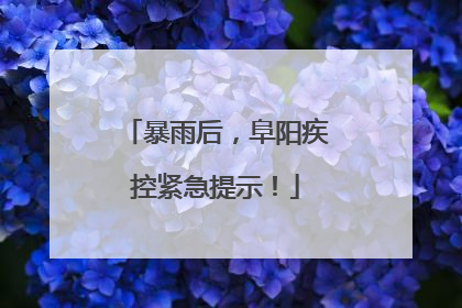 暴雨后，阜阳疾控紧急提示！