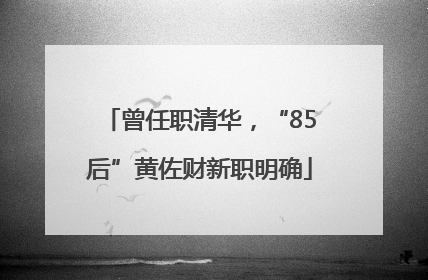 曾任职清华，“85后”黄佐财新职明确