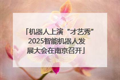 机器人上演“才艺秀” 2025智能机器人发展大会在南京召开