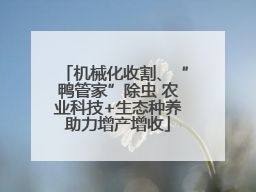 机械化收割、“鸭管家”除虫 农业科技+生态种养助力增产增收