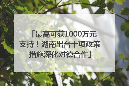 最高可获1000万元支持！湖南出台十项政策措施深化对德合作