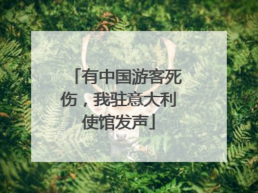 有中国游客死伤，我驻意大利使馆发声