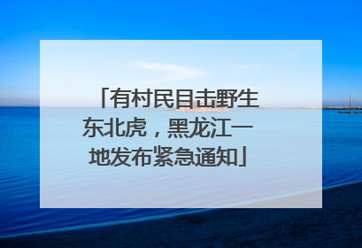 有村民目击野生东北虎，黑龙江一地发布紧急通知