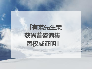 有范先生荣获尚普咨询集团权威证明