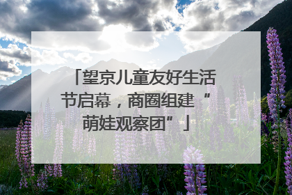 望京儿童友好生活节启幕，商圈组建“萌娃观察团”